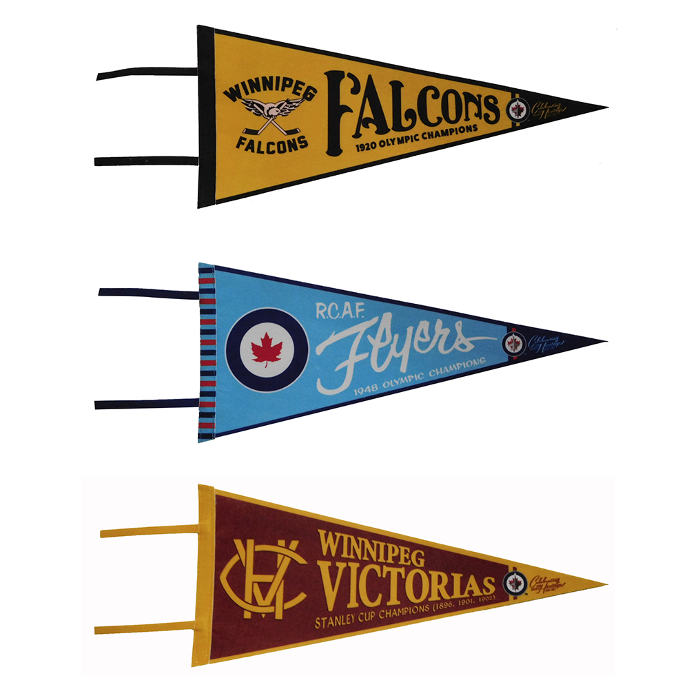 8" x 18" Custom Felt Pennant